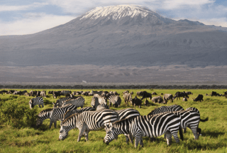 Amboseli National Park Amboseli National Park