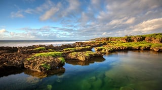 Ritidian Point: Where Pristine Tropical Jungle Meets the Ocean's Beauty