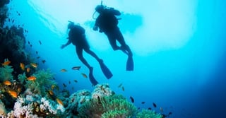 Diving