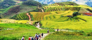 The Best Hiking and Trekking Trails in Vietnam