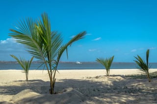 Ilha do Mussulo (Mussulo Island)
