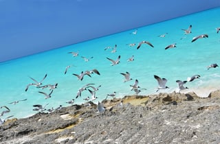 A Tropical Playground of 365 Cays