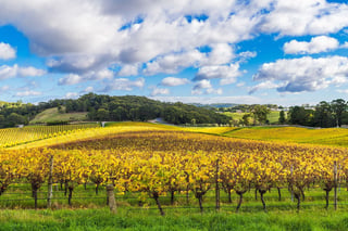 Adelaide Hills, Australia
