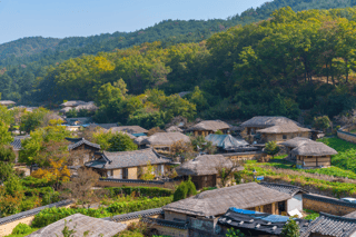 Andong Home of Korean Tradition & Culture Andong Home of Korean Tradition & Culture