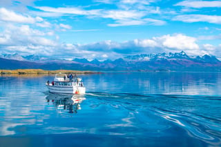 Sail the Beagle Channel in Ushuaia