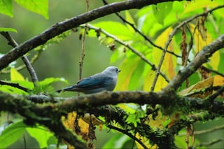 best birding destinations