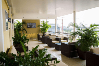 City Hotels