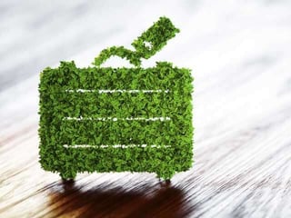 Consider Sustainability Consider Sustainability