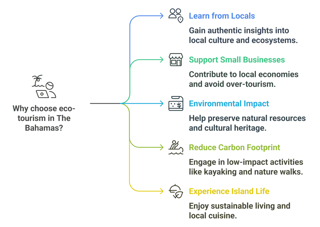 Why Choose Eco-Tourism in The Bahamas?