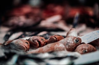Fresh Seafood