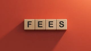 Costs Involved in Getting the Angola eVisa