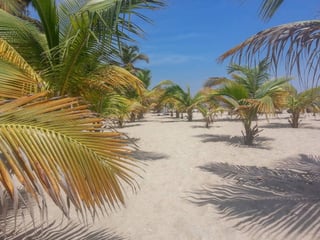 Highlights of Luanda in Culture and History