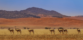  Iona National Park