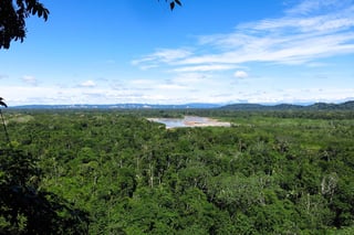 Madidi National Park, Bolivia