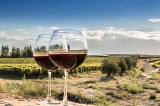 Get to Mendoza's Wine Country