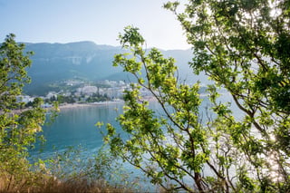 view of Becici beach through trees and grass at the sunrise. Budva. Montenegro view of Becici beach through trees and grass at the sunrise. Budva. Montenegro