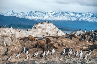 Patagonia Patagonia