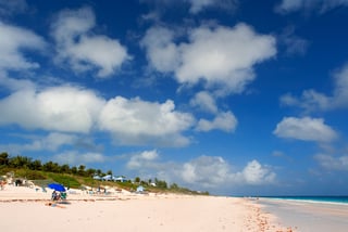 Relax on Pink Sand Beach, Harbour Island Relax on Pink Sand Beach, Harbour Island