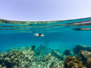 Snorkel in Thunderball Grotto Snorkel in Thunderball Grotto