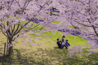 Spring (April to June) Spring (April to June)