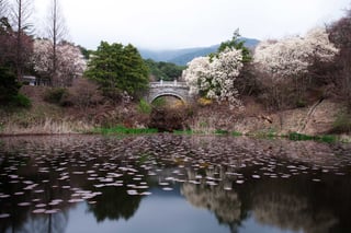 South Korea Islands And Its Scenic Beauty 