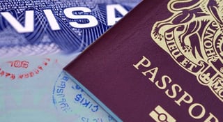 Visa Password