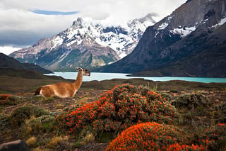 Visit Patagonia
