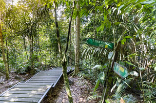 Malaysian Borneo