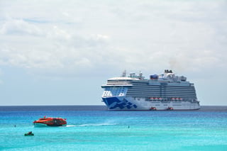 Is the Bahamas eVisa applicable for cruise passengers