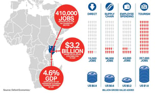 GDP Contribution