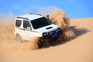 Desert Safari