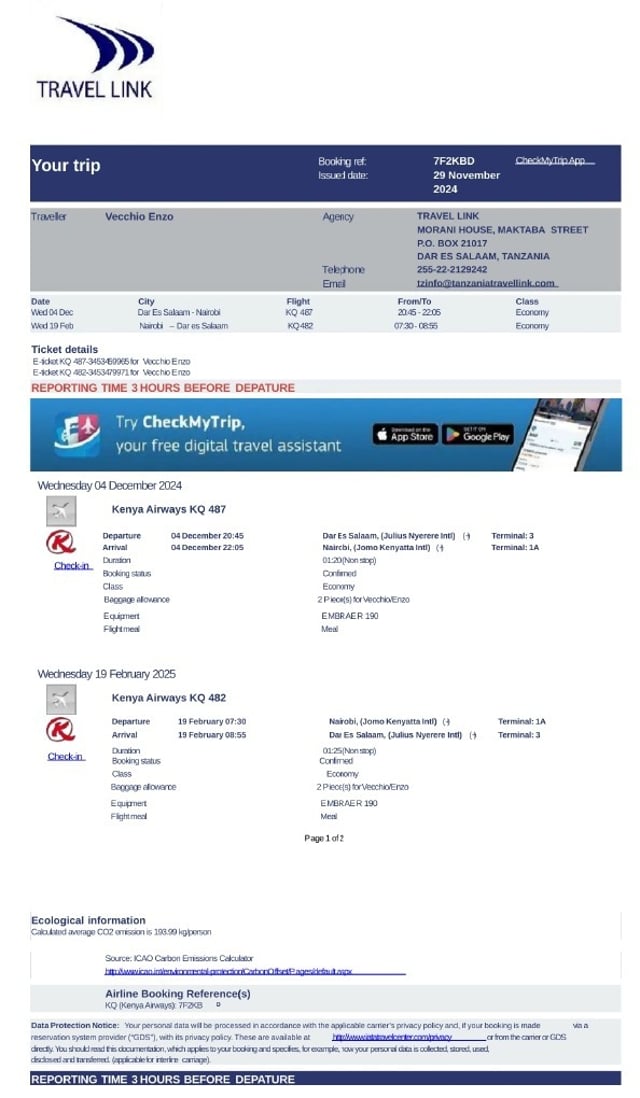 Sample Of Flight Ticket