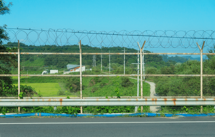 Dmz Demilitarized Zone A Unique Experience