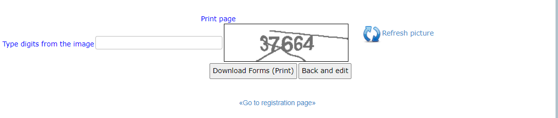 Online Visa Application