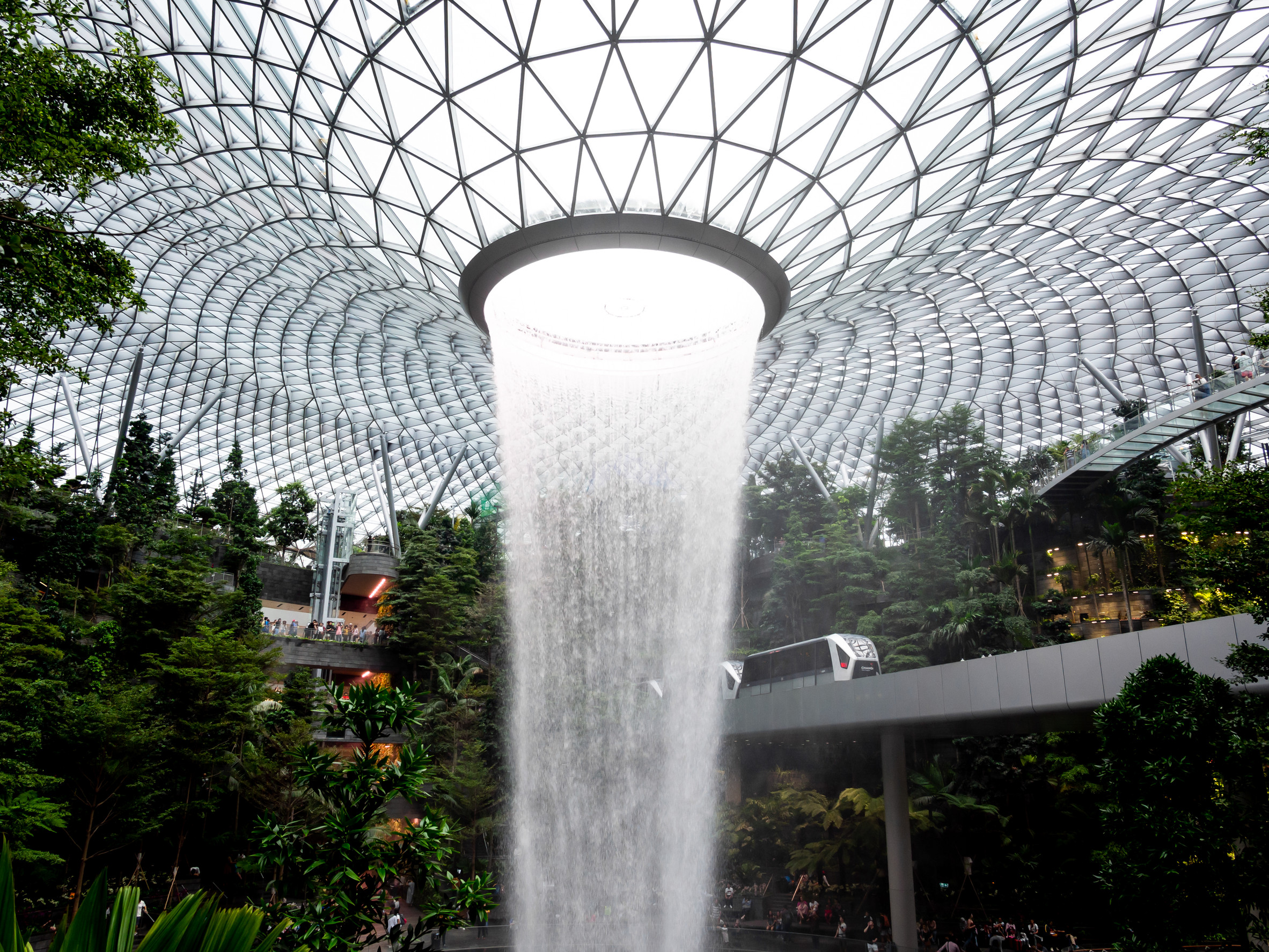 Changi Airport Restarts Complimentary Transit Tours