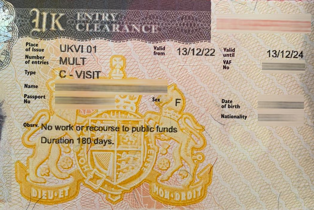 UK Visitor Visa 2024 Updates: Work, Research, Legal Roles - Explained