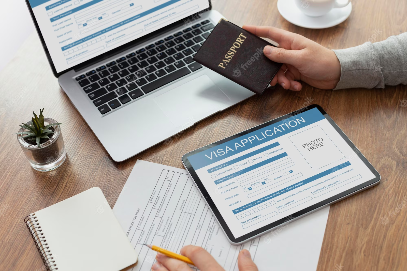Application of Brazil Online Visa