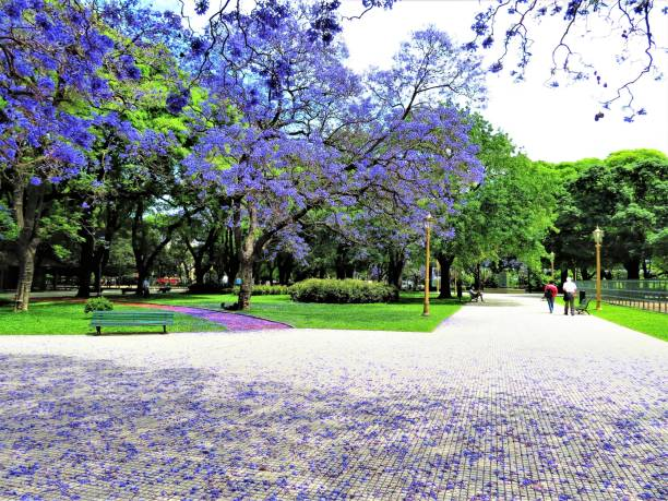 Family Trips with Children to Argentina