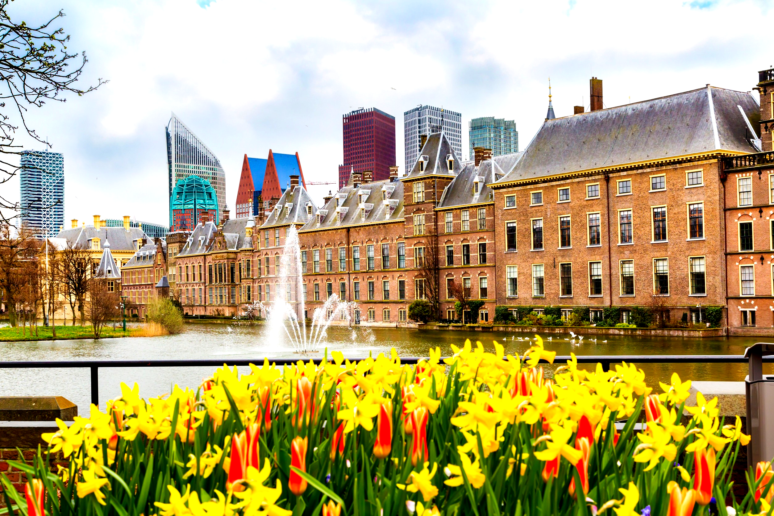 Embassy gallery image 2