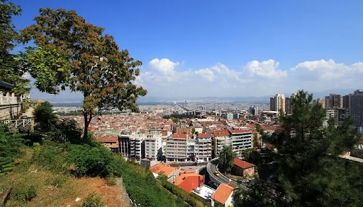Bursa